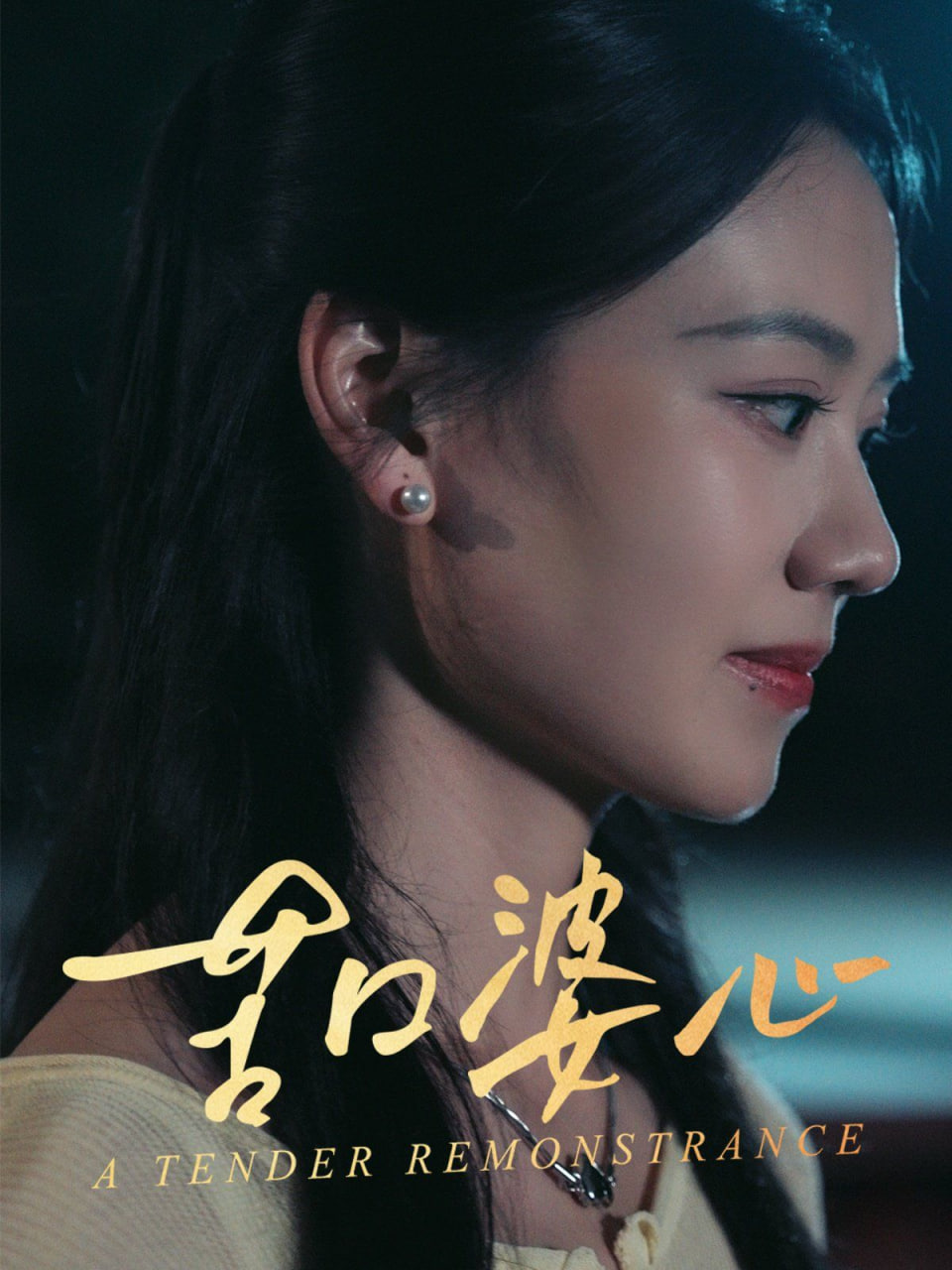 苦口婆心