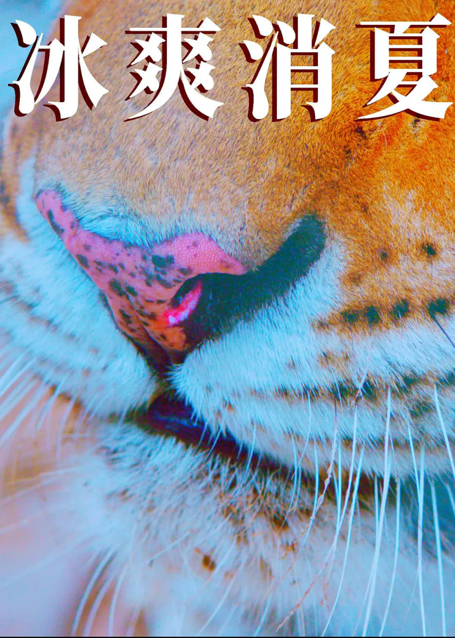 寒冰白血